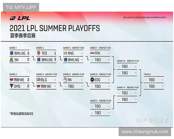 LNG在精英赛中的团队协作表现分析与启示