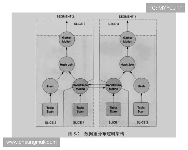 乒乓球战术解析：深入探讨上海乒乓球队的盯防体系与实战应用