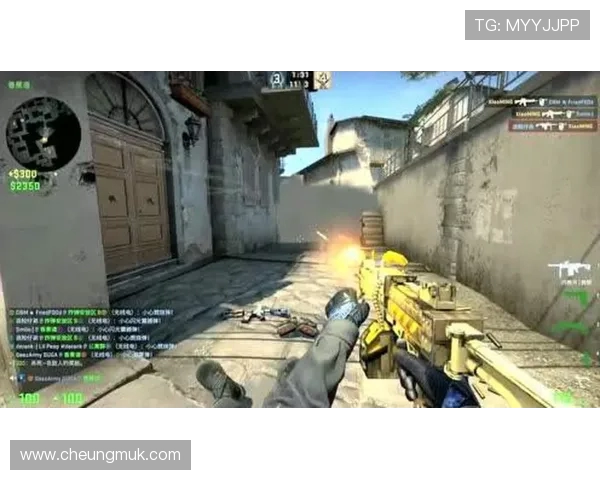 《探索Elk射手的战术优势与技能提升之道》